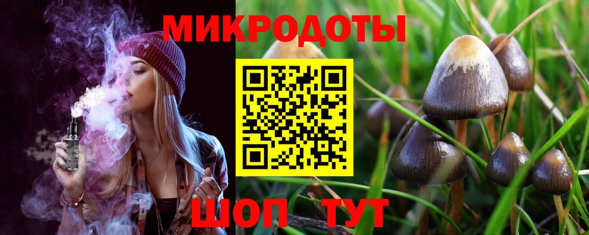 как найти наркотики  Псилоцибиновые грибы ЛСД  Вход с VPN  Псилоцибиновые грибы Magic Shrooms  Луга 