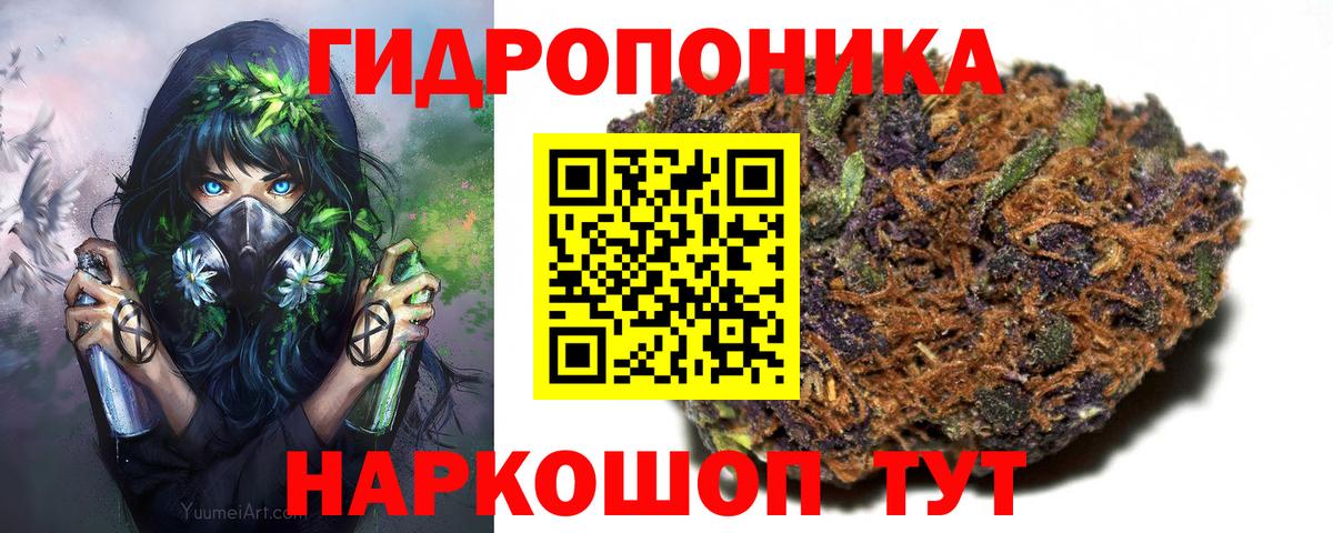 Каннабис MAZAR Луга